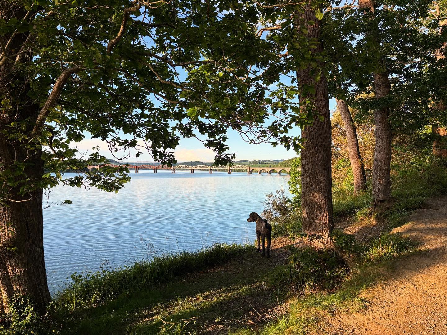 Dartmoordarling 1747166997 3631822468515806961 2375284119