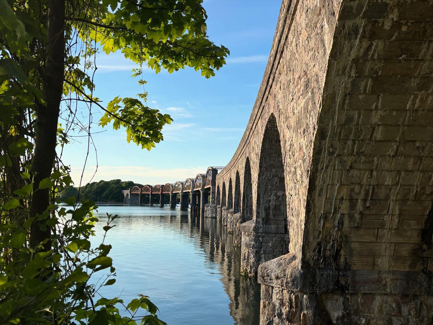 Dartmoordarling 1747166998 3631822468524112908 2375284119