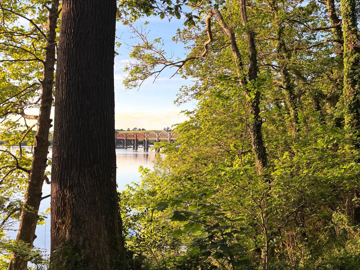 Dartmoordarling 1747166998 3631822468541014889 2375284119